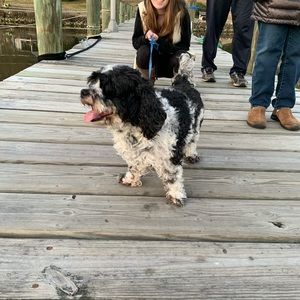 Meet your Posher, Jackie